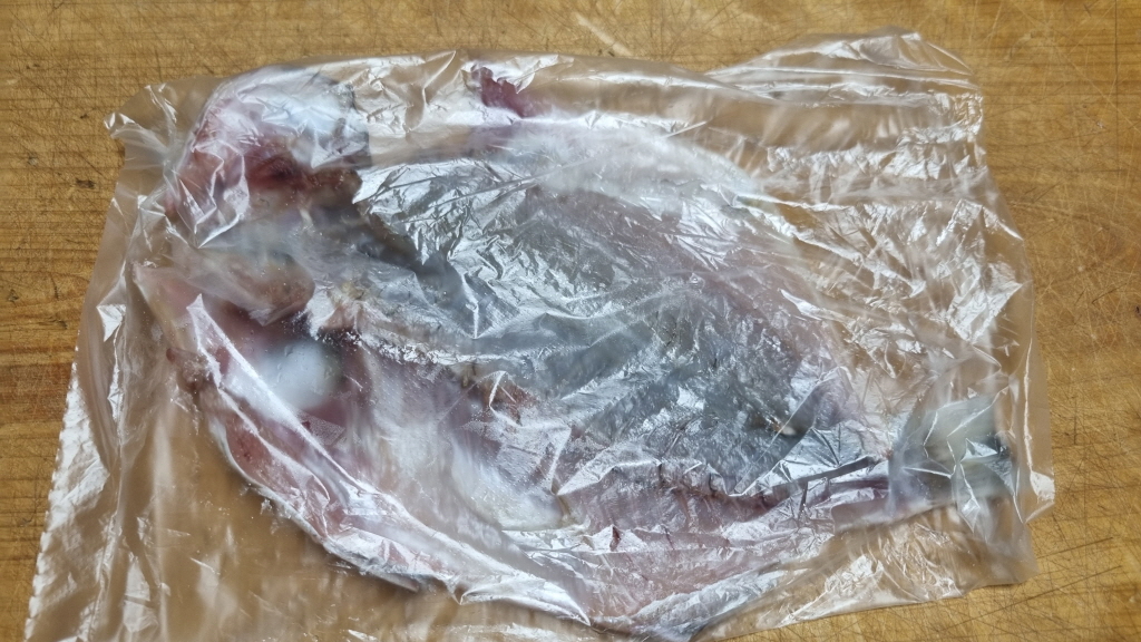 fish_007.jpg