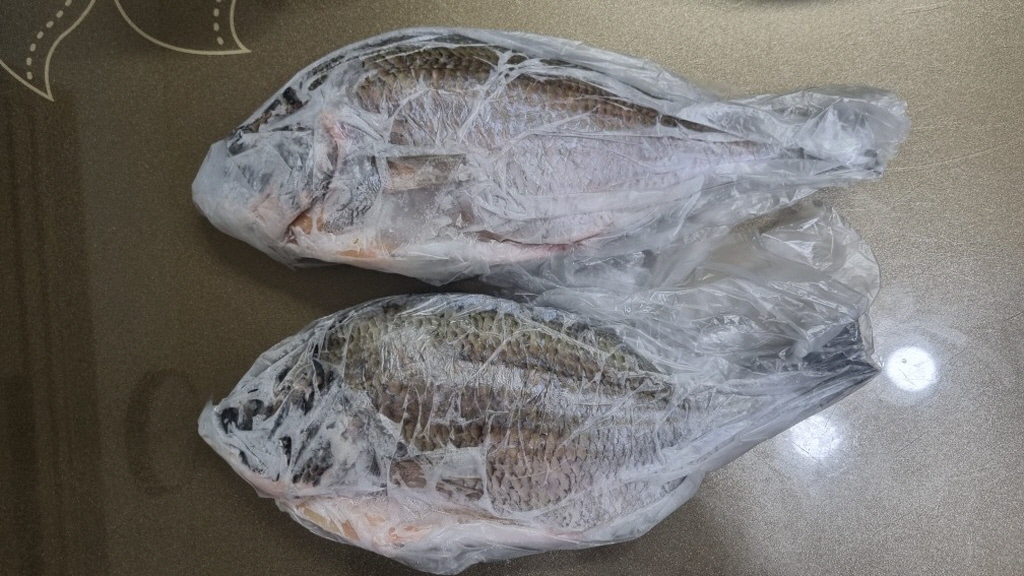 fish_03.jpg