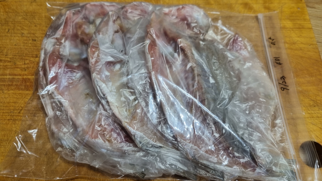 fish_008.jpg
