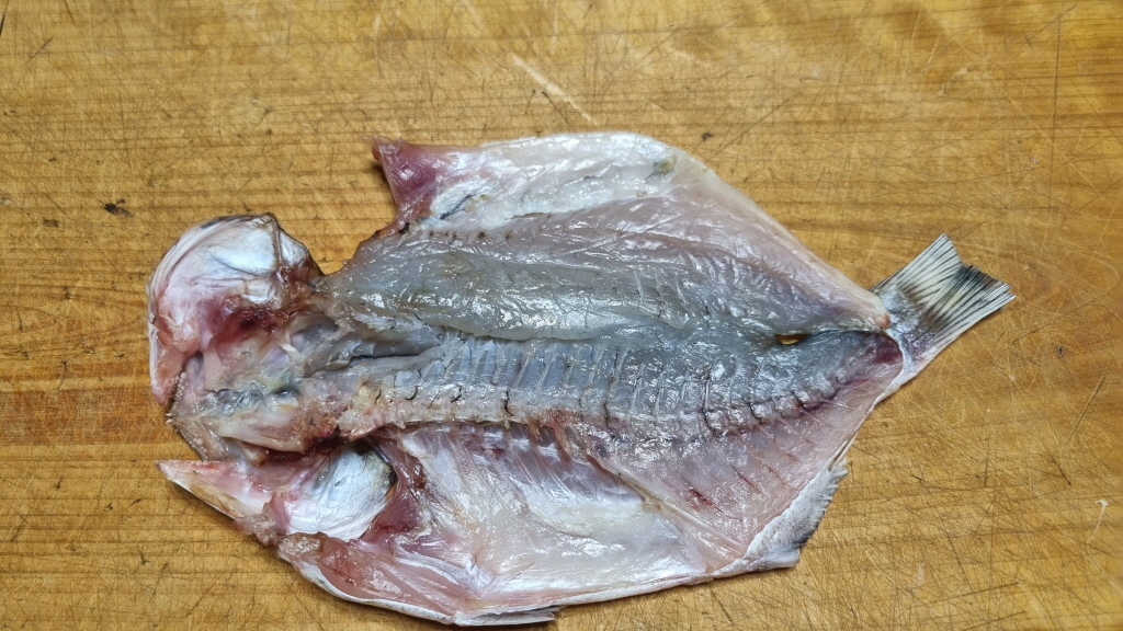 fish_006.jpg